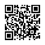 本网页连接的 QRCode