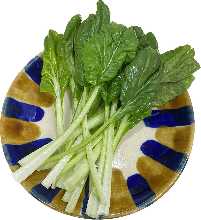 涮涮锅追加用 叶类蔬菜