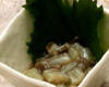 山葵章鱼
