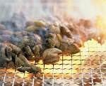 炭火烤肉 炭火烤肉