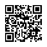 本网页连接的 QRCode