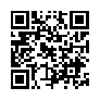 本网页连接的 QRCode