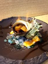 烤带壳角蝾螺 烤带壳角蝾螺