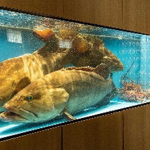 27,500日元套餐 (11道菜) 27,500日元套餐 (11道菜)