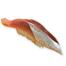 沙丁鱼