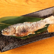其他 烤鱼 其他 烤鱼