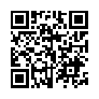 本网页连接的 QRCode