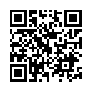 本网页连接的 QRCode