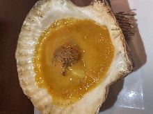 Grilled Scallop with sea urchin source