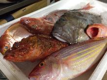 意式生腌肉片(鱼)