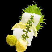 莱氏拟乌贼（生鱼片）