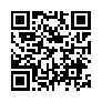 本网页连接的 QRCode