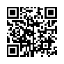 本网页连接的 QRCode