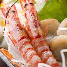 甜虾(生鱼片) 甜虾(生鱼片)