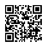 本网页连接的 QRCode