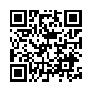 本网页连接的 QRCode