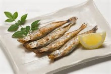 炙烤多春鱼