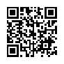 本网页连接的 QRCode