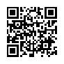 本网页连接的 QRCode