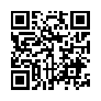 本网页连接的 QRCode