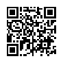 本网页连接的 QRCode