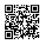 本网页连接的 QRCode