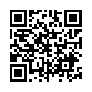 本网页连接的 QRCode