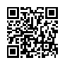 本网页连接的 QRCode