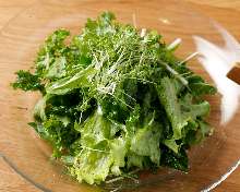 绿色蔬菜沙拉 绿色蔬菜沙拉