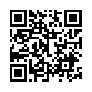 本网页连接的 QRCode