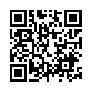 本网页连接的 QRCode