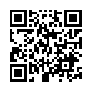 本网页连接的 QRCode