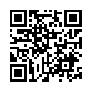 本网页连接的 QRCode