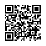 本网页连接的 QRCode