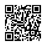 本网页连接的 QRCode