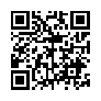 本网页连接的 QRCode