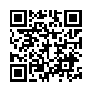 本网页连接的 QRCode