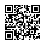 本网页连接的 QRCode