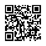 本网页连接的 QRCode