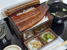 鳗鱼盒饭
