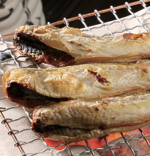 隔夜干燥烤小麦（4块）