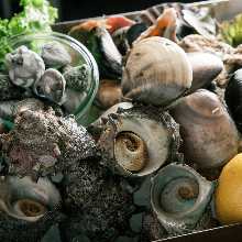 其他 贝类料理、海鲜料理