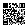 本网页连接的 QRCode