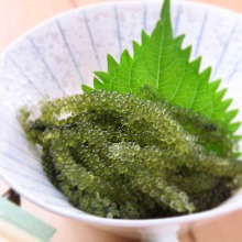 海葡萄