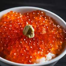 鲑鱼卵盖饭