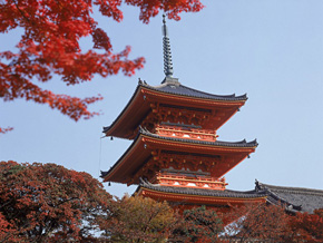 京都饮食文化