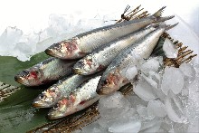 炸串、炸肉排串