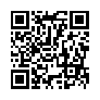 本网页连接的 QRCode