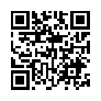 本网页连接的 QRCode