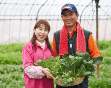 什锦蔬菜